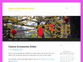 Détails : Agence Immobili